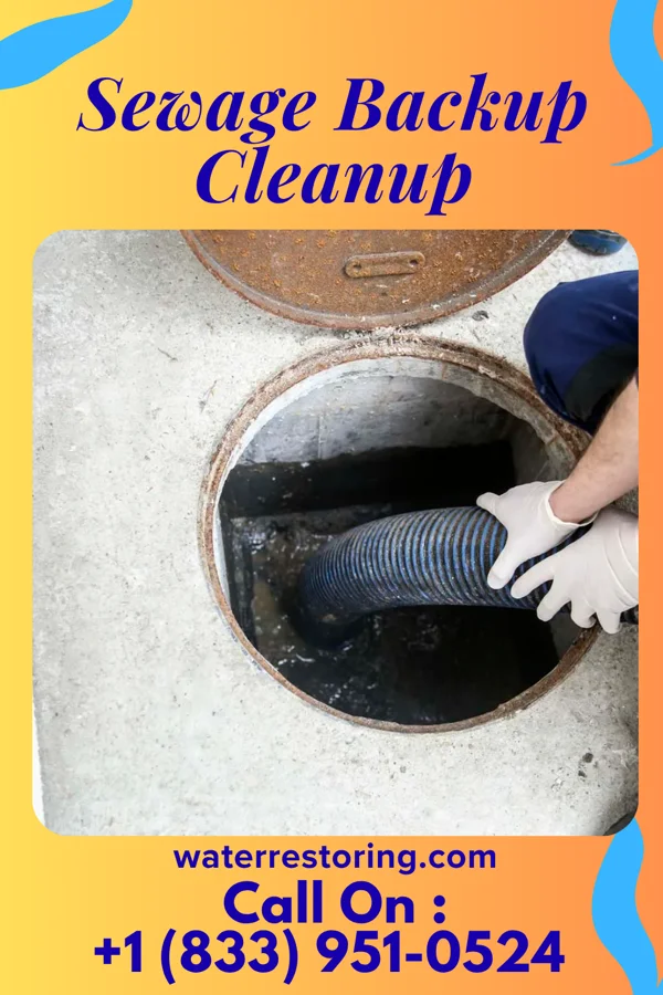 Sewage Backup Cleanup in University of Pittsburgh Bradford, PA